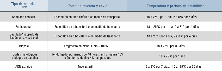 hpv_adn_analisis_2025