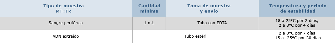 MTHFR – Mutación C677T
