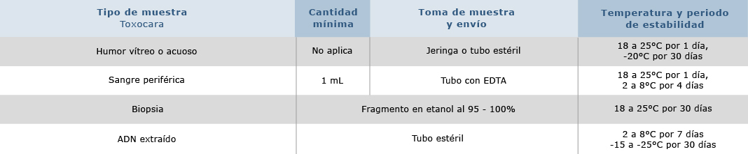 Toxocara canis-cati y leonina