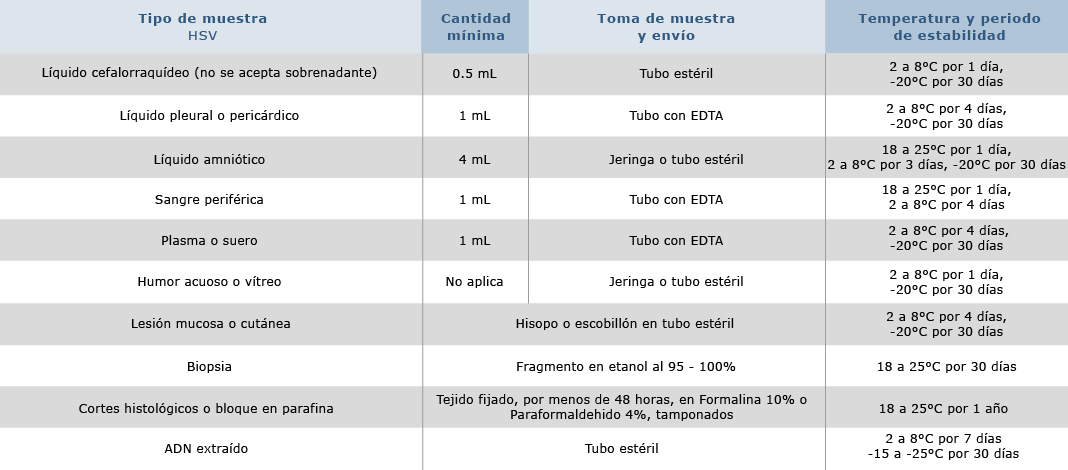 Virus del Herpes simplex
